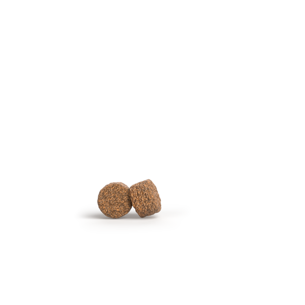 Крокета AllSizes_MotherPuppy_withSalmonRice_result Josera Mother & Puppy Salmon & Rice All Sizes (Family Plus) — изображение 2